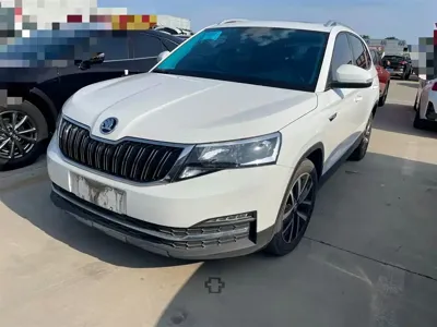 Skoda Kamiq · 2024 год