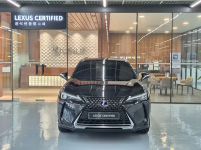 Lexus UX 2022, 62554 км, за 29500000 KRW