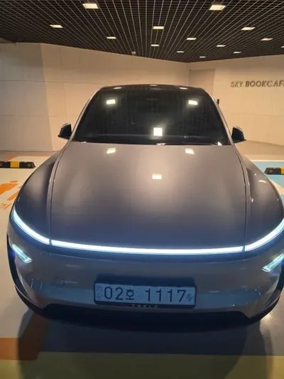 Tesla Model Y · 2025 год