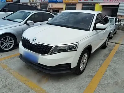 Skoda Kamiq · 2024 год