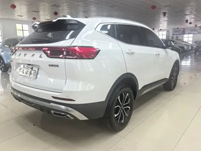 Haval H6 2023, 25000 км, за 79800 CNY - фото 4