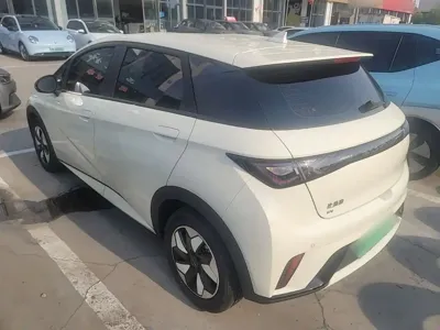 BYD Dolphin 2024, 13500 км, за 65400 CNY - фото 23