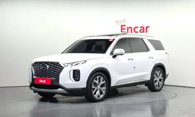Hyundai Palisade · 2019 год