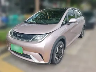 BYD Dolphin 2022, 35200 км, за 56100 CNY - фото 25