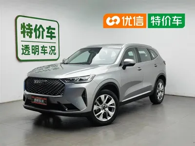 Haval H6 · 2021 год