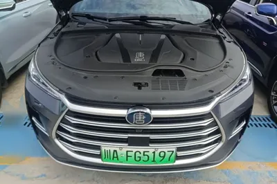 BYD Tang New Energy 2023, 69700 км, за 121826.41 CNY - фото 38