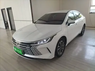 BYD Destroyer 05 · 2024 год
