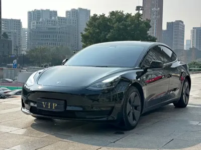 Tesla Model 3 · 2021 год
