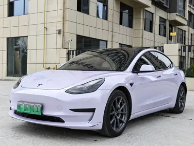Tesla Model 3 2021, 58000 км, за 125800 CNY - фото 1