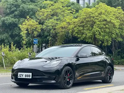 Tesla Model 3 · 2023 год