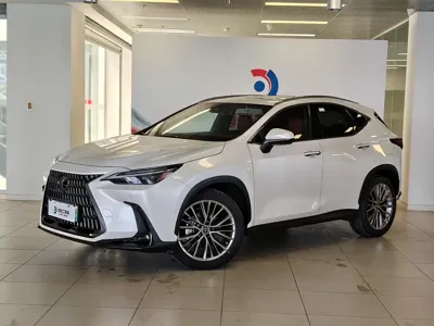 Lexus NX New Energy · 2022 год