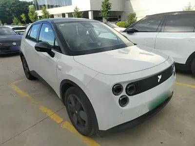 firefly萤火虫 firefly萤火虫 2025, 12500 км, за 100399 CNY