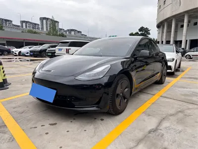 Tesla Model 3 · 2023 год