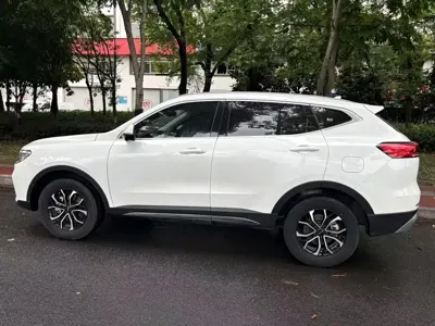 Haval H6 2024, 70000 км, за 57800 CNY - фото 12