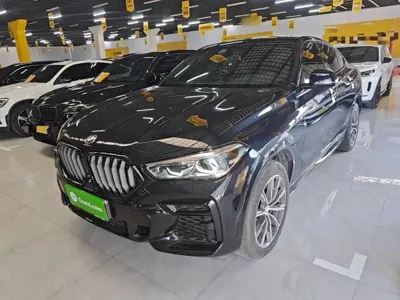 BMW X6 · 2023 год