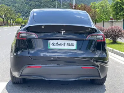 Tesla Model Y 2021, 110000 км, за 128000 CNY - фото 12