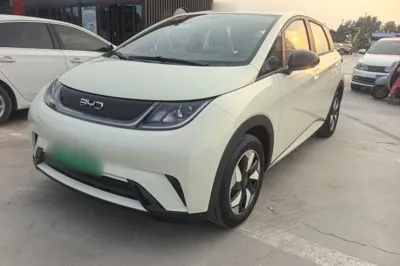 BYD Dolphin · 2025 год