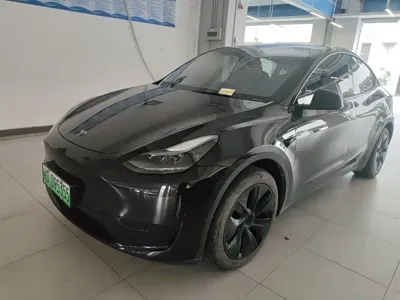 Tesla Model Y · 2024 год
