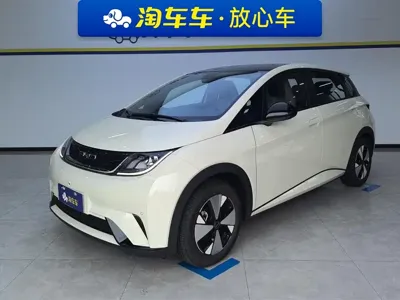 BYD Dolphin · 2023 год