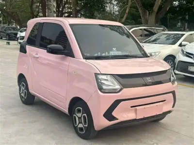 Fengguang Fengguang MINIEV · 2023 год
