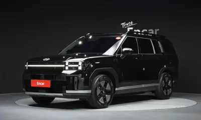Hyundai Santafe · 2024 год