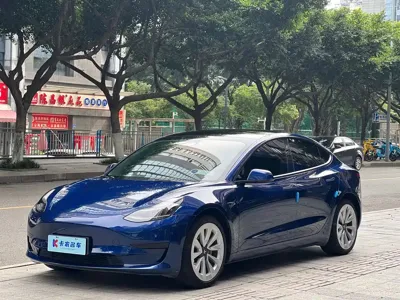 Tesla Model 3 · 2022 год