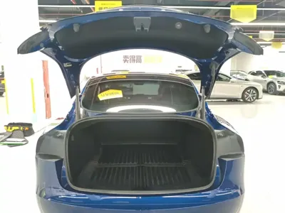 Tesla Model 3 2025, 12000 км, за 240500 CNY - фото 19