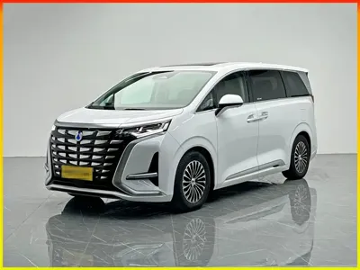Denza Denza D9 · 2024 год