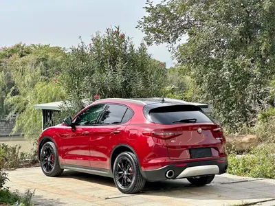 Alfa Romeo Stelvio 2017, 83000 км, за 95000 CNY - фото 6