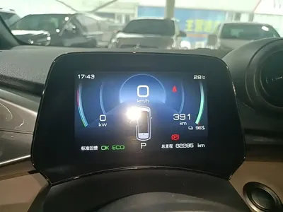 BYD Dolphin 2022, 82200 км, за 56500 CNY - фото 12