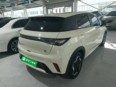 BYD Dolphin 2022, 82200 км, за 56500 CNY - фото 7