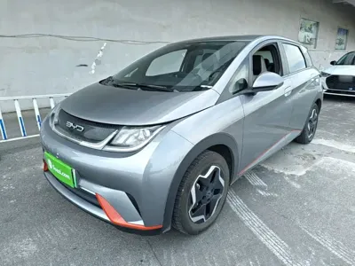 BYD Dolphin · 2023 год