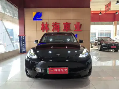 Tesla Model Y · 2022 год