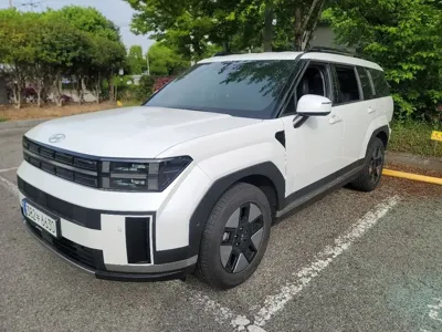 Hyundai Santafe 2025, 23490 км, за 36500000 KRW