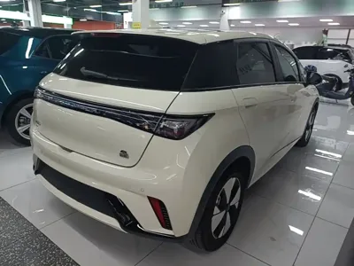 BYD Dolphin 2023, 78000 км, за 60500 CNY - фото 7