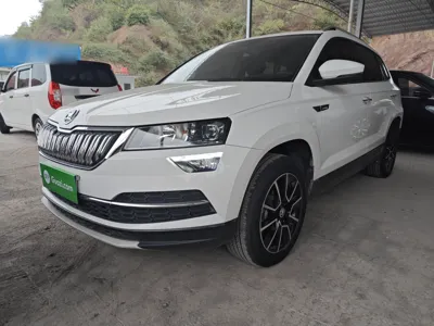 Skoda Karoq · 2021 год