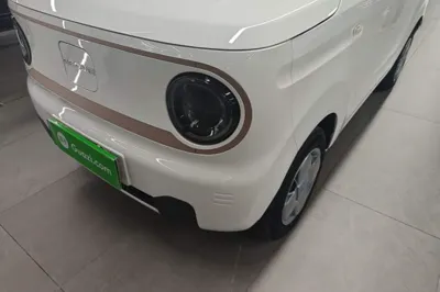 Geely Galaxy Panda 2023, 51700 км, за 41379.24 CNY - фото 8