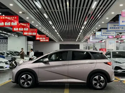 BYD Dolphin 2024, 10000 км, за 69800 CNY - фото 7