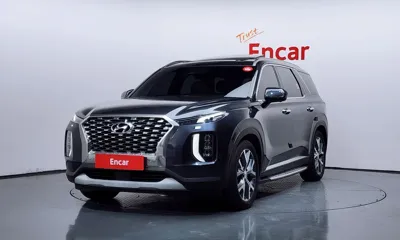 Hyundai Palisade · 2019 год
