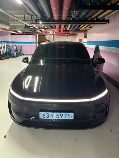 Tesla Model Y · 2025 год