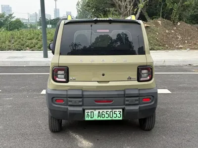 Galaxy Panda 2025, 1700 км, за 34500 CNY - фото 8