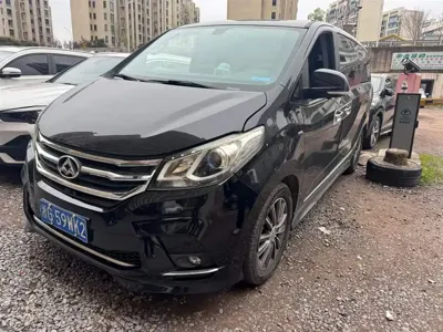 大通 G10 · 2023 год