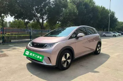 BYD Dolphin · 2023 год