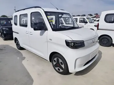 Wuling Zhiguang EV 2026, 100 км, за 51100 CNY - фото 4
