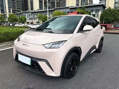BYD Seagull · 2023 год
