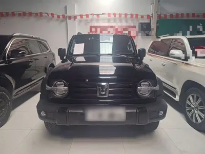 Tank Tank 300 2023, 38100 км, за 162000 CNY