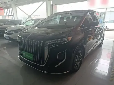 Hongqi Hongqi HQ9 · 2024 год