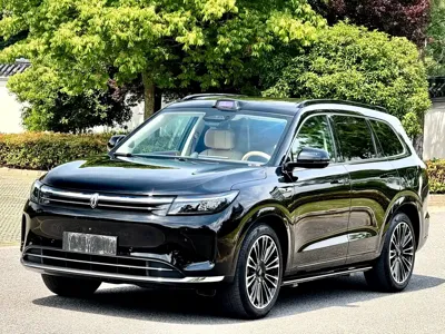 AITO 问界 AITO M7 · 2024 год