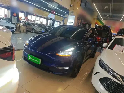 Tesla Model Y · 2024 год