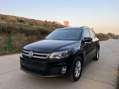 Volkswagen Tiguan · 2016 год